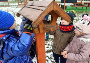 Dzieci wkładają ziarna do karmnika dla ptaków
