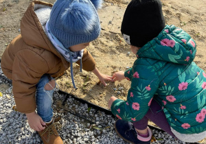 Dzieci zbierają kamienie.
