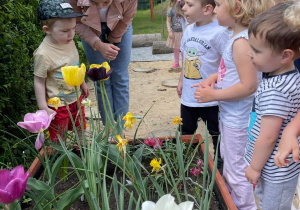 Dzieci obserwują kwiaty w ogrodzie.