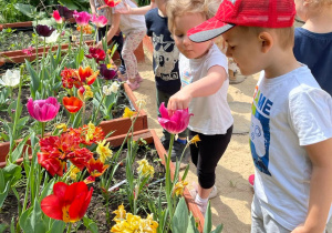 Dzieci obserwują kwiaty w ogrodzie przedszkolnym.