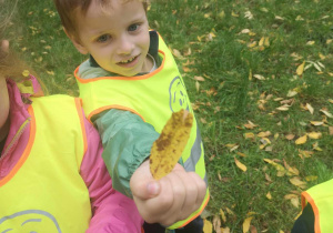 Dziecko prezentuje znaleziony liść.