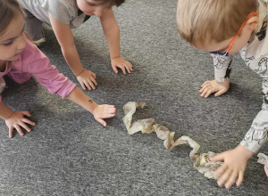 dzieci oglądają skórę węża